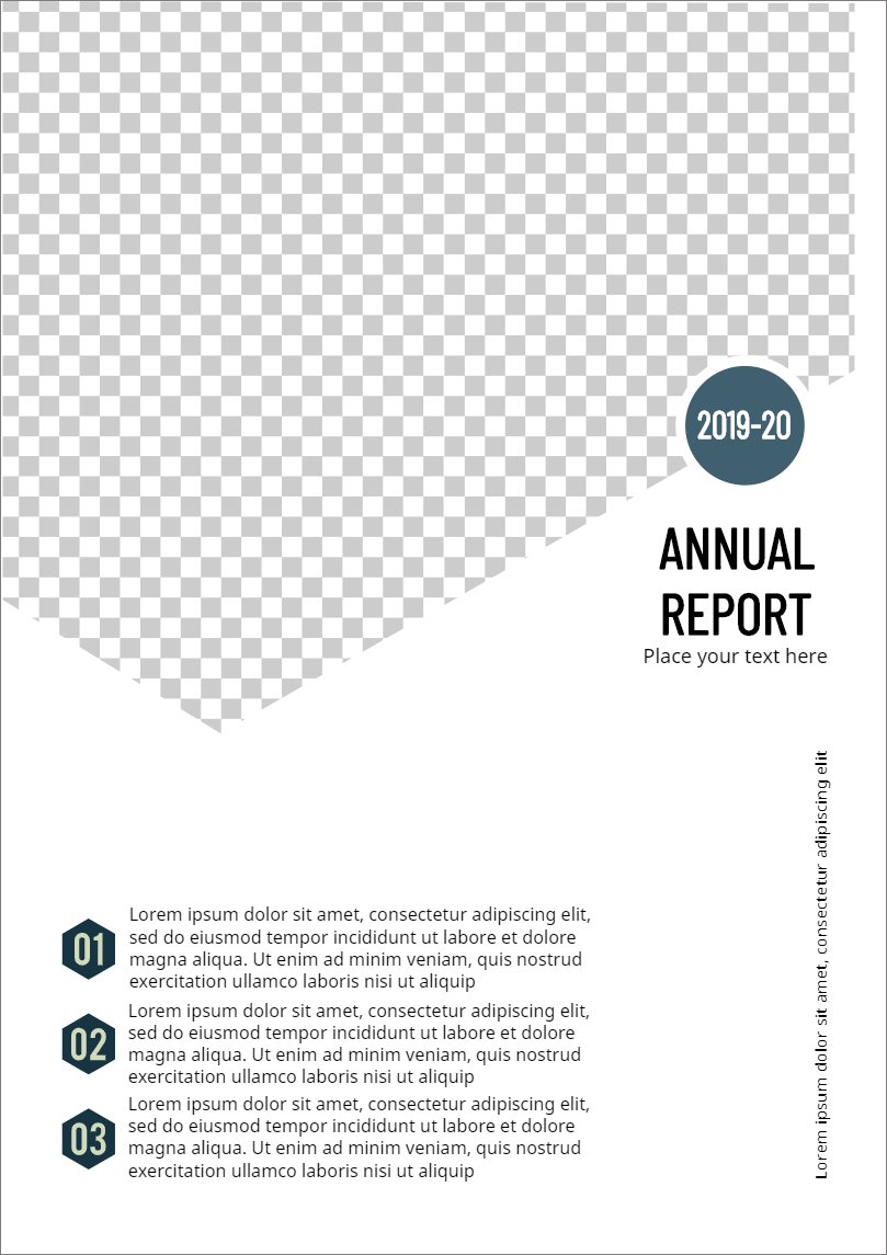 17813-Annual Report Card With White Background preview